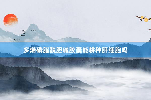 多烯磷脂酰胆碱胶囊能耕种肝细胞吗